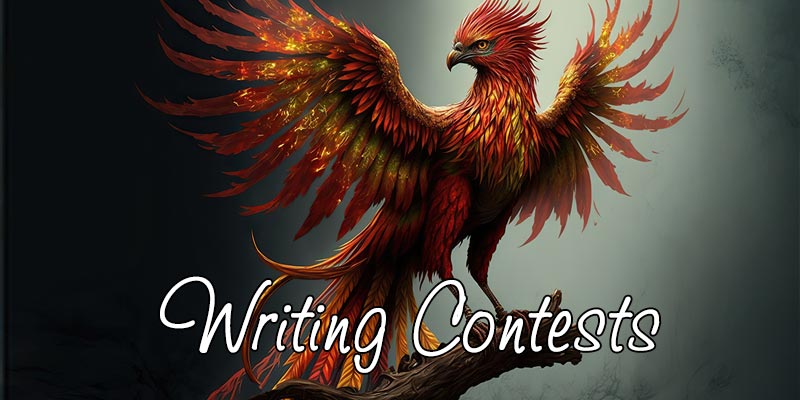 2025-jun-contests